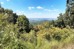 View from the top of Kennesaw Mountain